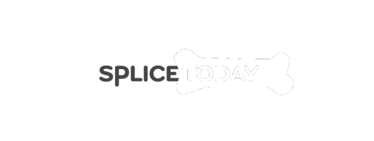 Splice Today