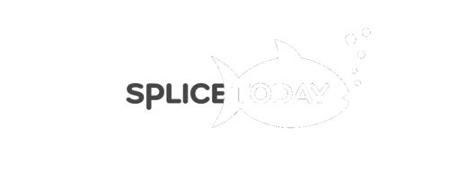 Splice Today