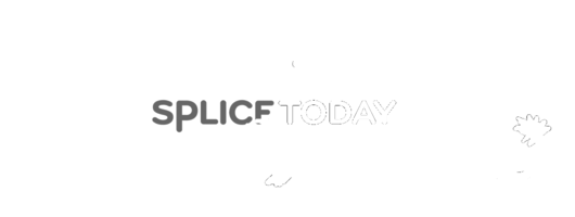 Splice Today