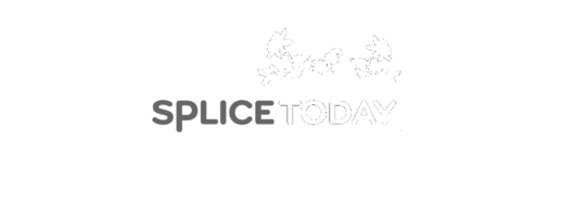 Splice Today