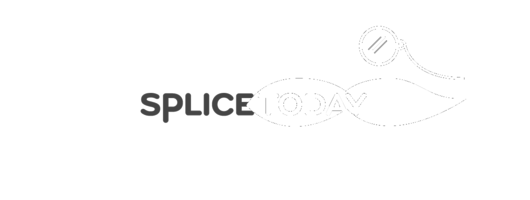 Splice Today