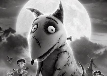 Large_frankenweenie