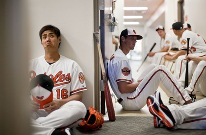 Large_orioles