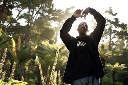Large_flyinglotus