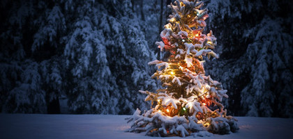 Large_christmastree-631-2