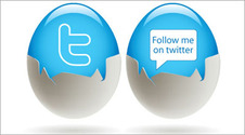 Medium_twitter-in-egg-follow-me-on-twitter