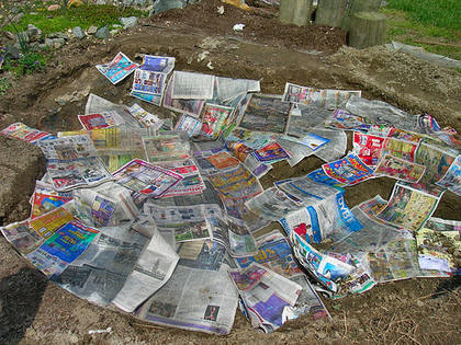 Large_papers