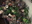Small_soda_collection