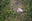 Small_42840003