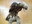 Small_0627081543